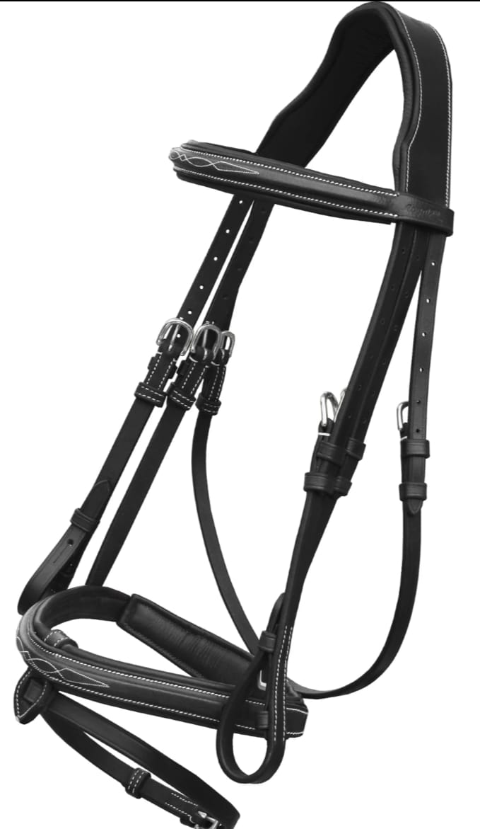 Leather bridle 